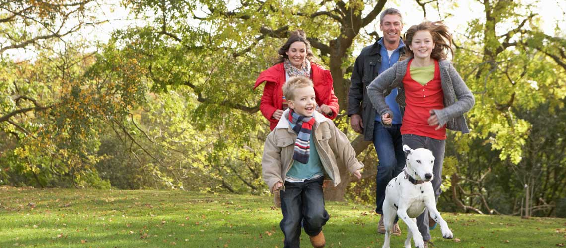 Life and Health Insurance
